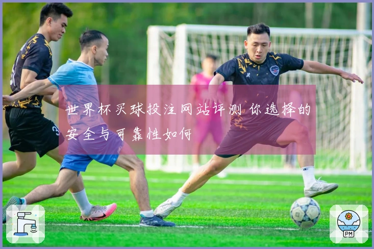 世界杯买球投注网站评测 你选择的安全与可靠性如何