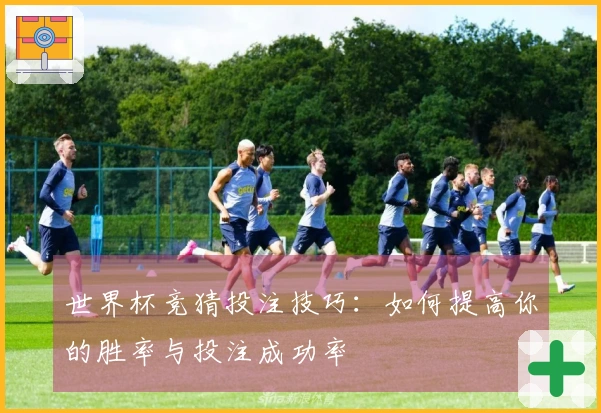 世界杯竞猜投注技巧：如何提高你的胜率与投注成功率