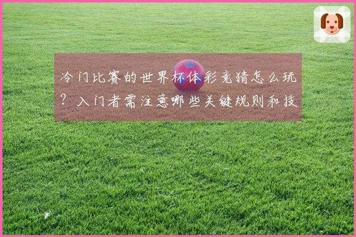 冷门比赛的世界杯体彩竞猜怎么玩？入门者需注意哪些关键规则和技巧