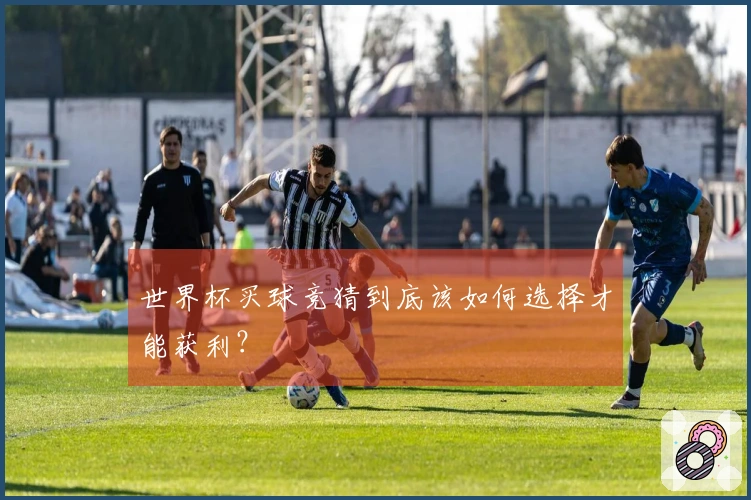 世界杯买球竞猜到底该如何选择才能获利？