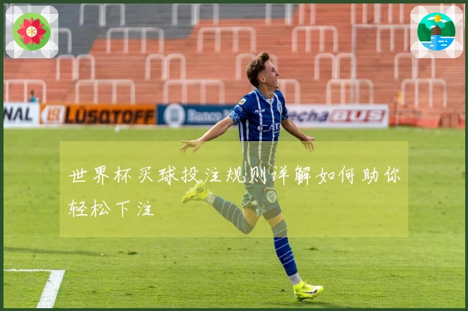 世界杯买球投注规则详解如何助你轻松下注
