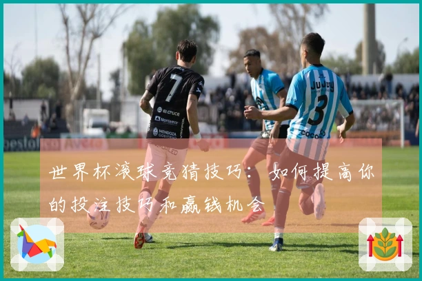 世界杯滚球竞猜技巧：如何提高你的投注技巧和赢钱机会