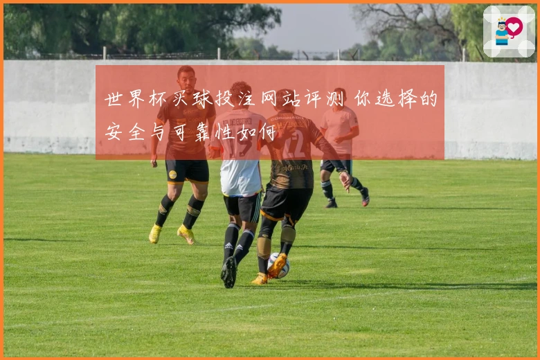 世界杯买球投注网站评测 你选择的安全与可靠性如何