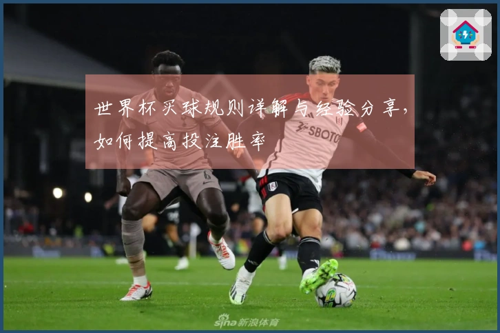 世界杯买球规则详解与经验分享，如何提高投注胜率