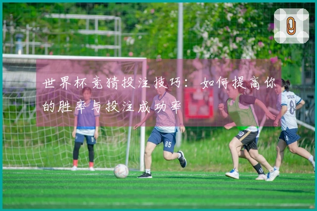 世界杯竞猜投注技巧：如何提高你的胜率与投注成功率