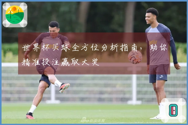世界杯买球全方位分析指南，助你精准投注赢取大奖