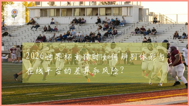 2026世界杯竞猜时如何辨别体彩与在线平台的差异和风险？