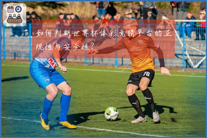 如何判断世界杯体彩竞猜平台的正规性与安全性？
