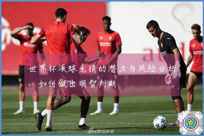 世界杯滚球竞猜的潜力与风险分析，如何做出明智判断