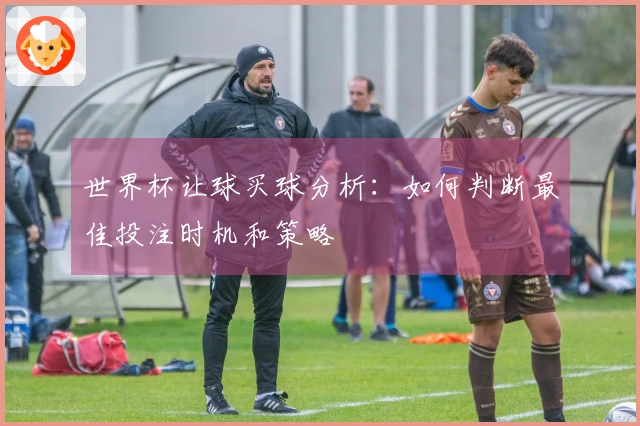 世界杯让球买球分析：如何判断最佳投注时机和策略
