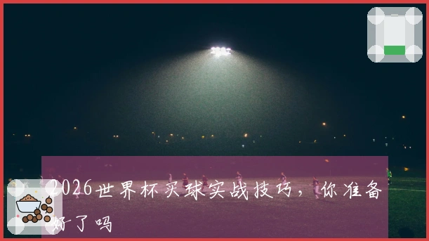 2026世界杯买球实战技巧，你准备好了吗