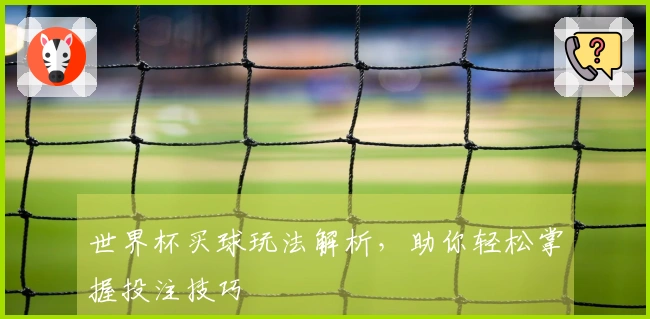 世界杯买球玩法解析，助你轻松掌握投注技巧