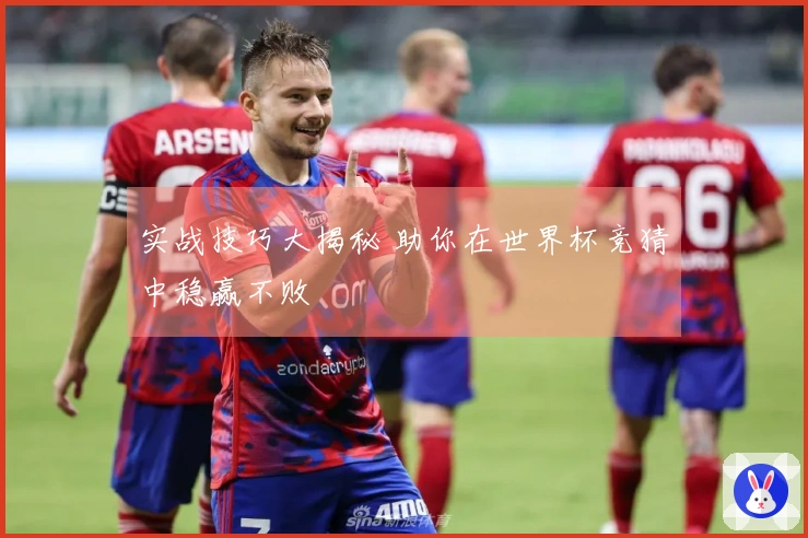 实战技巧大揭秘 助你在世界杯竞猜中稳赢不败