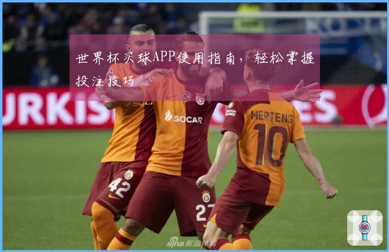 世界杯买球APP使用指南，轻松掌握投注技巧