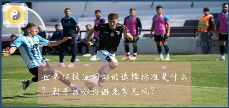 世界杯投注网站的选择标准是什么？新手该如何避免常见坑？
