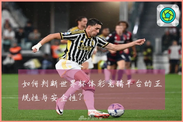 如何判断世界杯体彩竞猜平台的正规性与安全性？