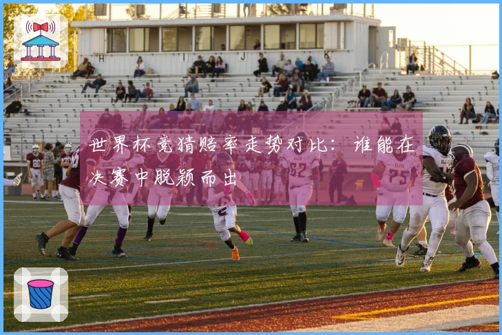 世界杯竞猜赔率走势对比：谁能在决赛中脱颖而出