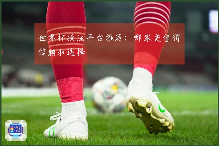 世界杯投注平台推荐：哪家更值得信赖和选择