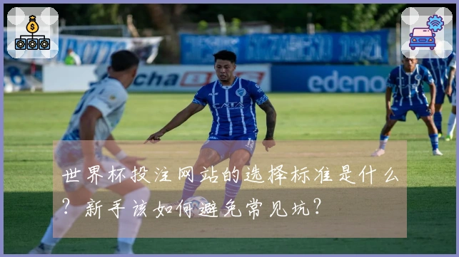 世界杯投注网站的选择标准是什么？新手该如何避免常见坑？