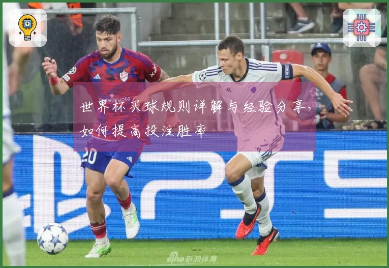 世界杯买球规则详解与经验分享，如何提高投注胜率
