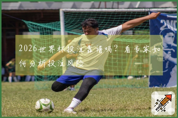 2026世界杯投注靠谱吗？看专家如何分析投注风险
