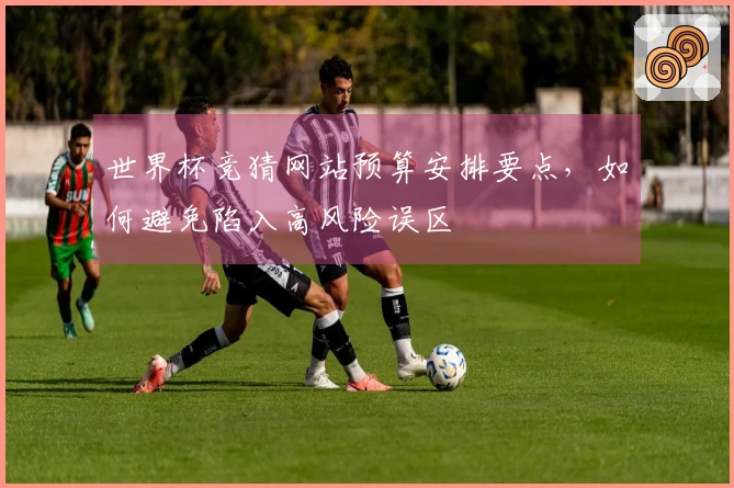 世界杯竞猜网站预算安排要点，如何避免陷入高风险误区