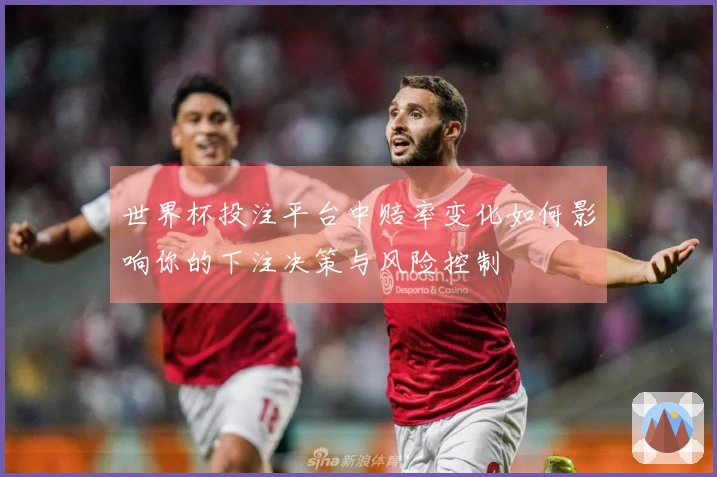 世界杯投注平台中赔率变化如何影响你的下注决策与风险控制