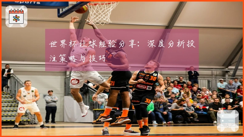 世界杯让球经验分享：深度分析投注策略与技巧