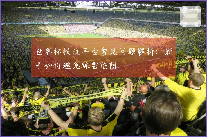 世界杯投注平台常见问题解析：新手如何避免踩雷陷阱